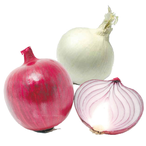 Circulaire Marché Dessaulles