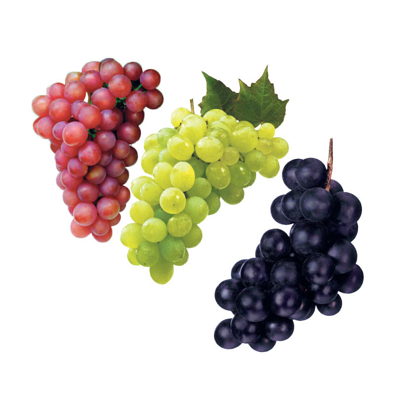 raisin-noir-rouge-vert
