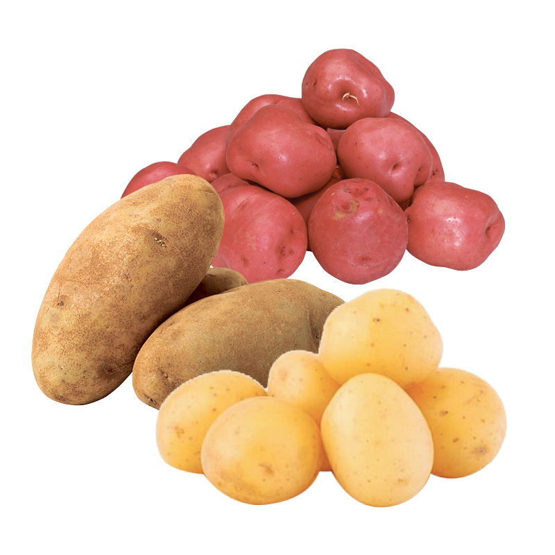 patate-jaune-blanche-rouge