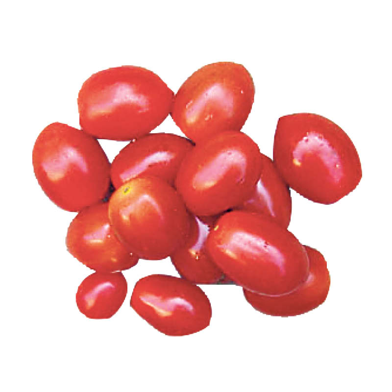 tomate-raisin