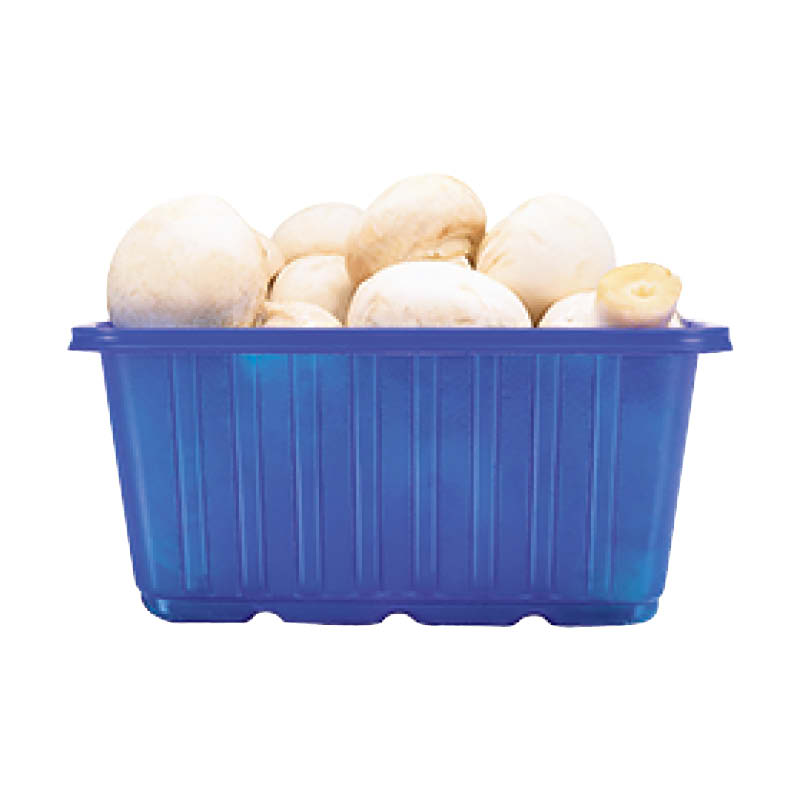 champignons-blanc