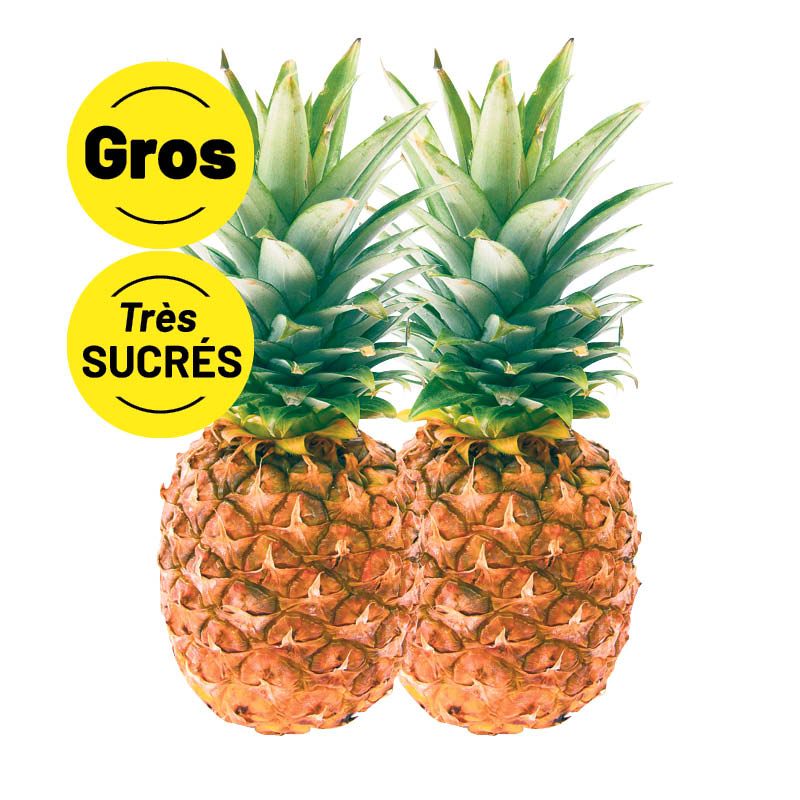 ananas-SUCRE_GROS