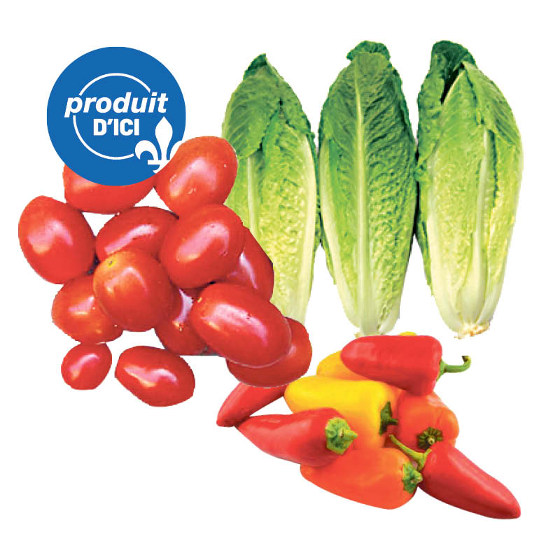 laituromaine-tomateraisin-minipoivrons-QC