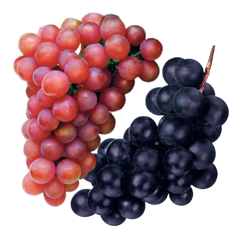 raisin-rouge-noir