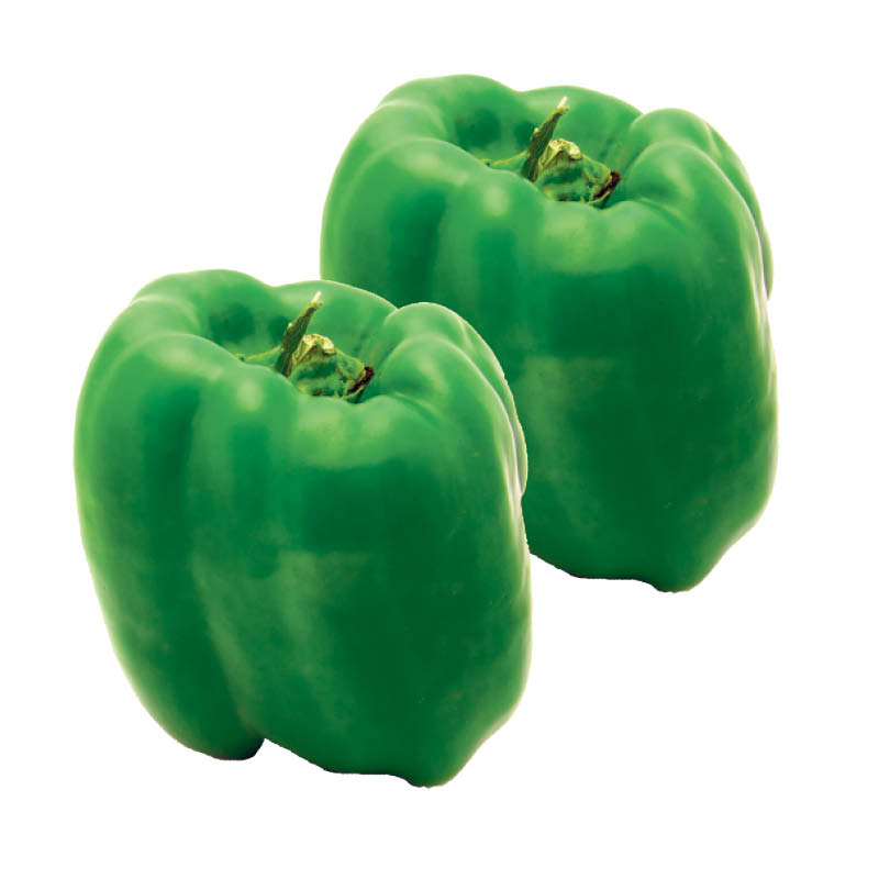 poivron-vert