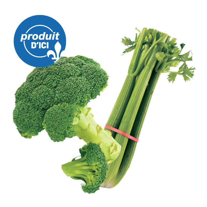 brocoli-celeri-QC