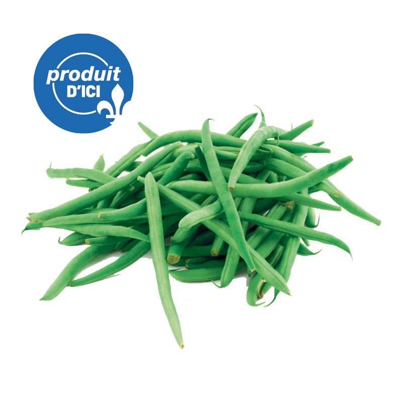 haricot-vert-QC