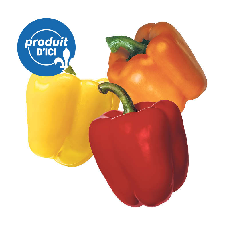 poivrons-3coul-QC