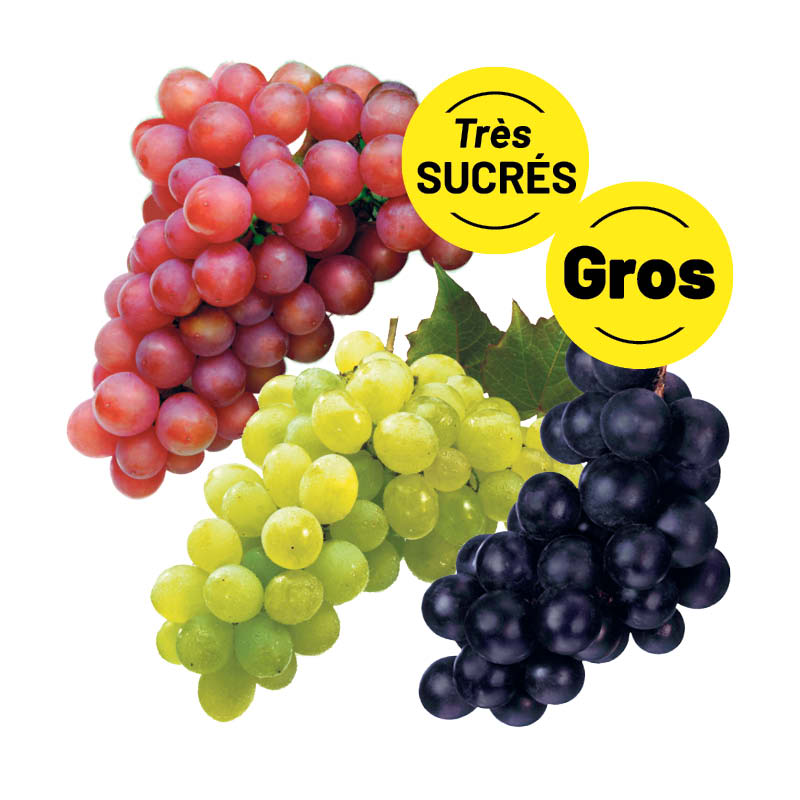raisin-rouge-vert-noir-GROS_SUCRE