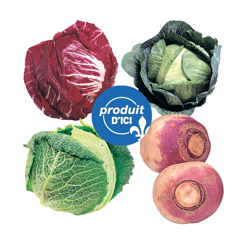 choux-vert-rouge-Savoies-navet-QC