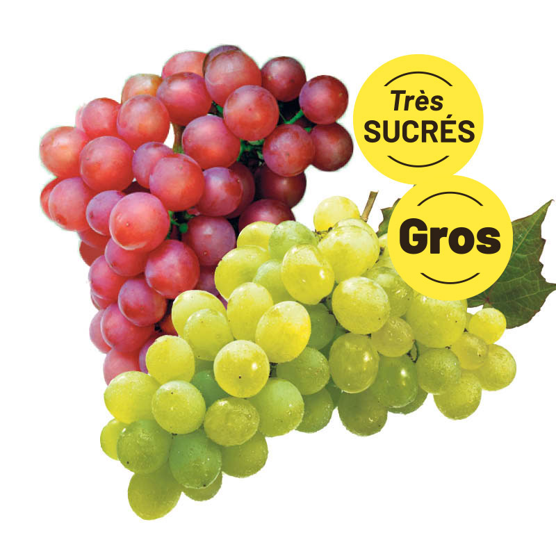 raisin-rouge-vert-SUCRE-GROS