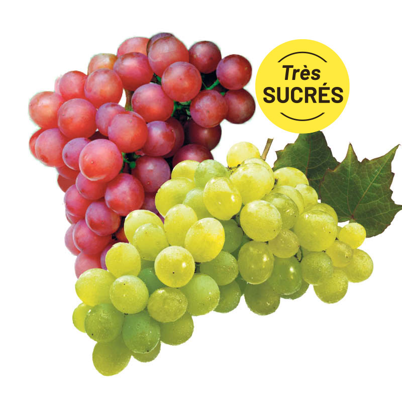 raisin-rouge-vert-SUCRE