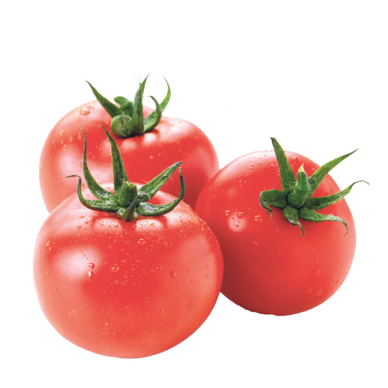 tomate-serre