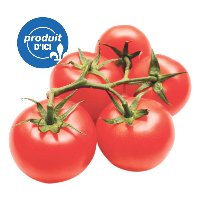 tomate-vigne-QC