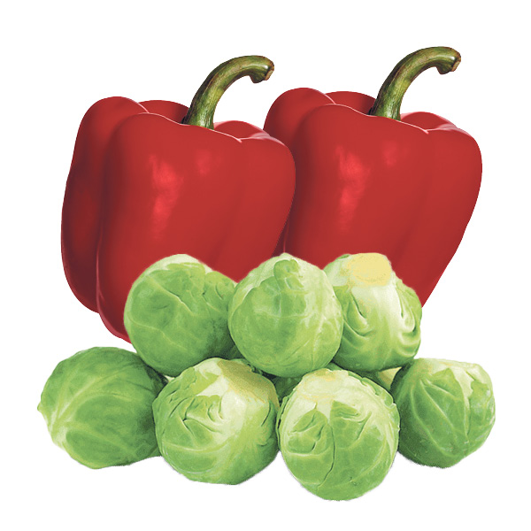 chou-bruxelle-poivron-rouge