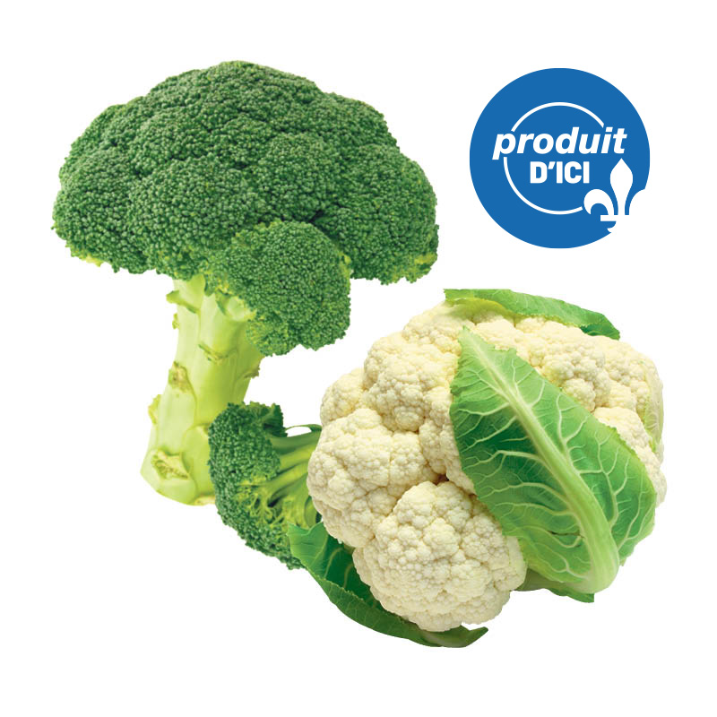 brocoli-choufleur-QC