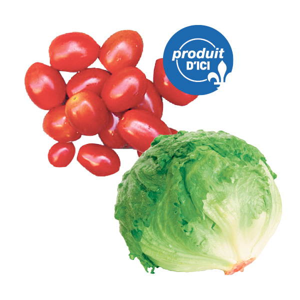 iceberg-tomate-raisin-QC