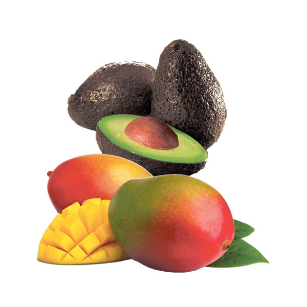 avocats mangues