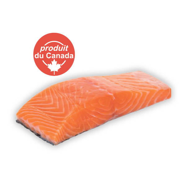 FILET DE SAUMON