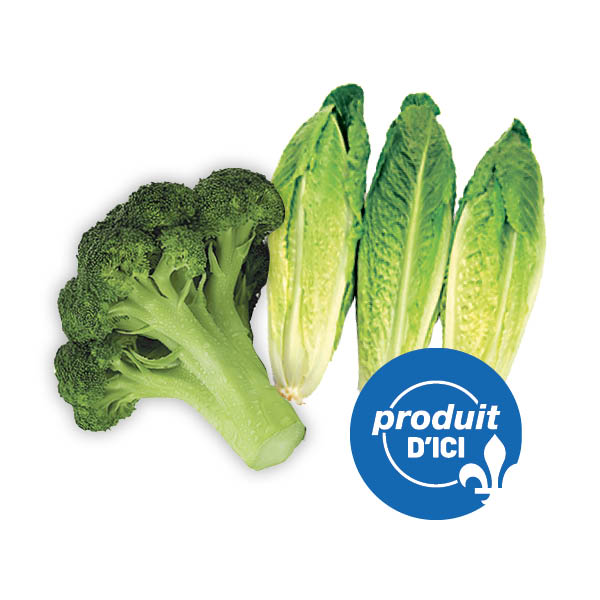 brocoli coeur romaine