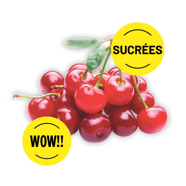 cerises