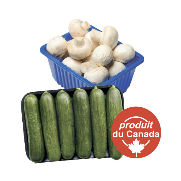 champignons mini-concombres