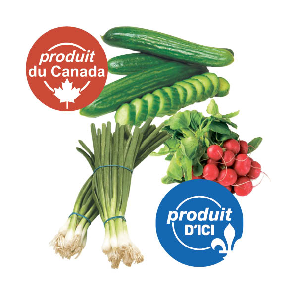 echalottes-radis-concombres