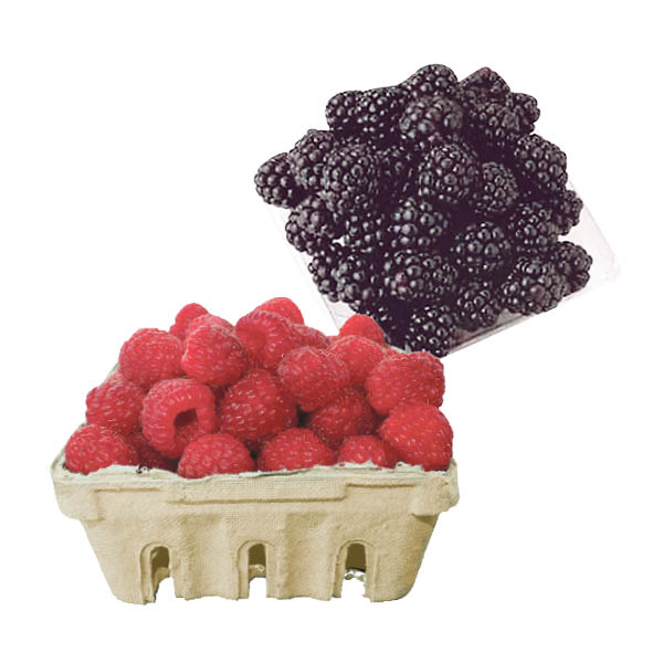 framboises-mures