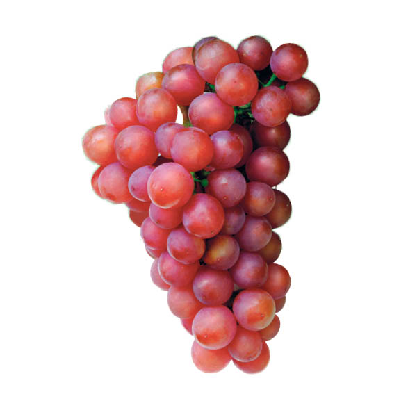 raisins rouge