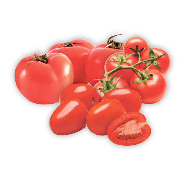 tomates serres