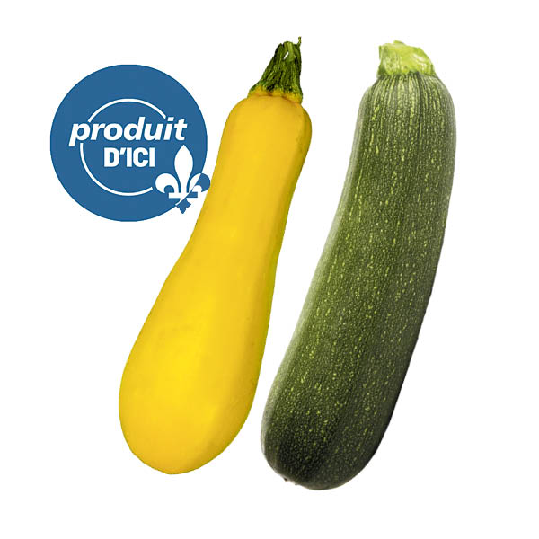 zucchini vert jaune