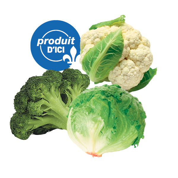 Brocoli