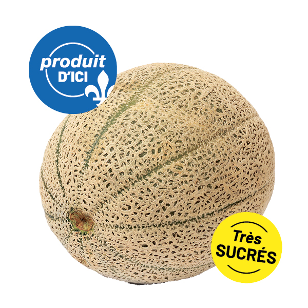 Cantaloup