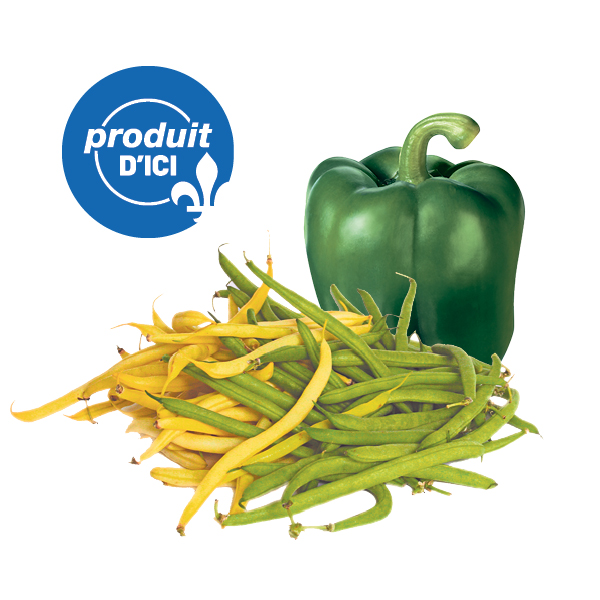 Haricots