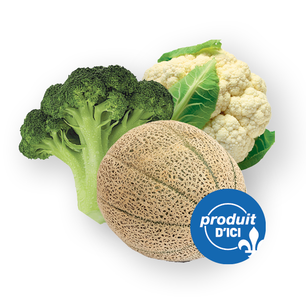cantaloup
