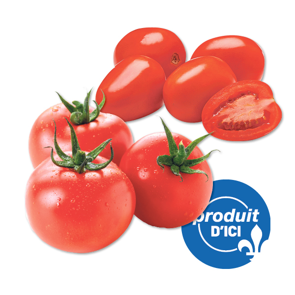 tomates